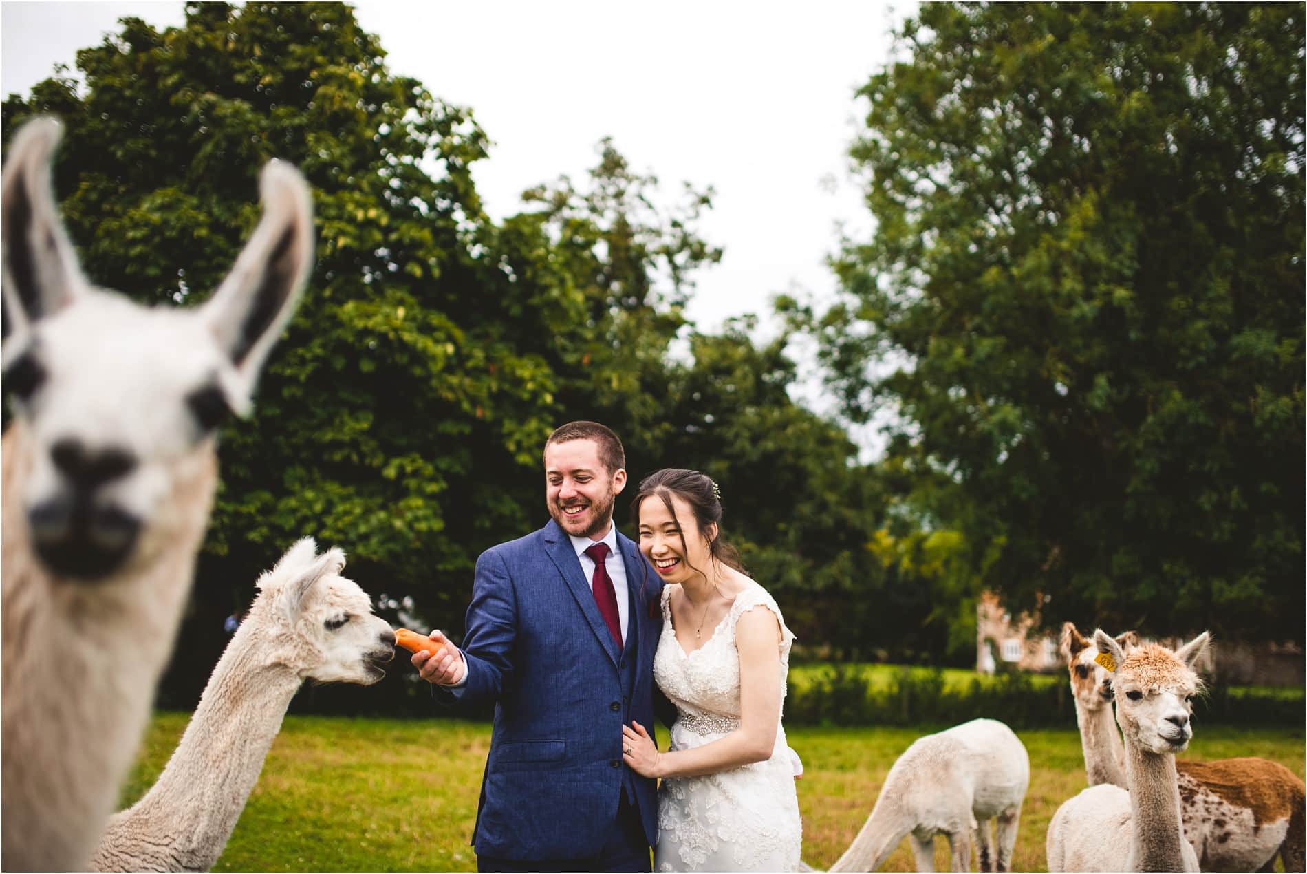 College Farm Wedding- Norfolk Wedding Photographer